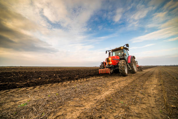 istock Farmer plowing stubble field 973739846