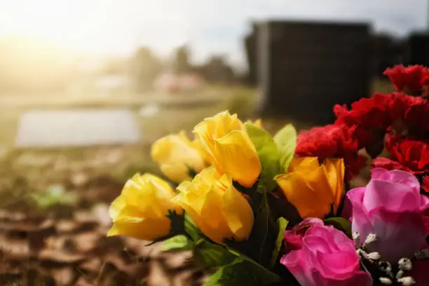 Photo of Brightly colored flowers on a grave