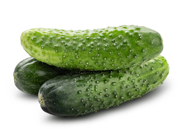 istock Fresh green cucumber isolated on white background. Clipping path 973743068