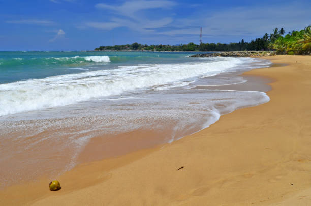 The beach of Tangalle, Sri Lanka.