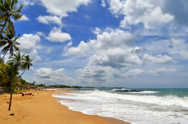 istock The beach of Tangalle 973746100