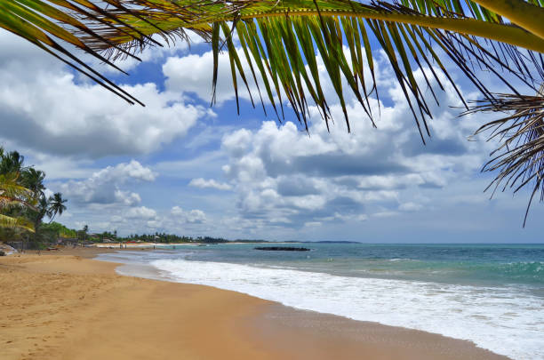 istock The beach of Tangalle 973746190