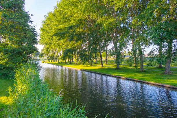 istock The edge of a canal at sunrise in spring 973754128