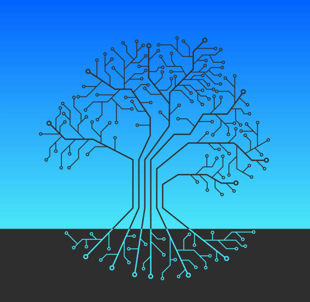 Root System Vectorgraph 1,100+ Root System Vector Stock Illustrations, Royalty-Free Vector ...