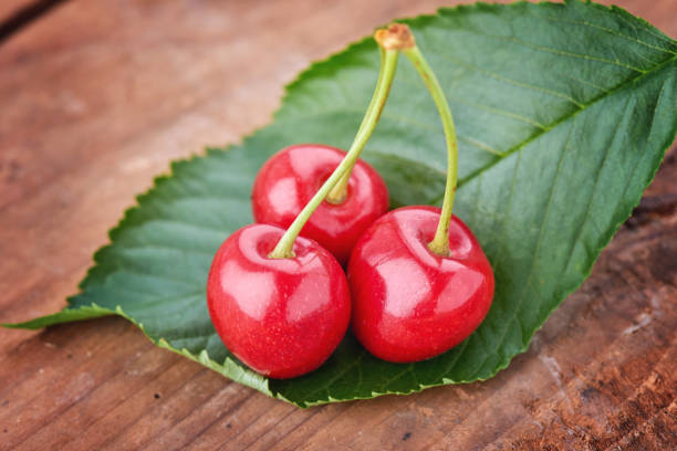 istock Cherry - Heap of berries on wood. 973768308