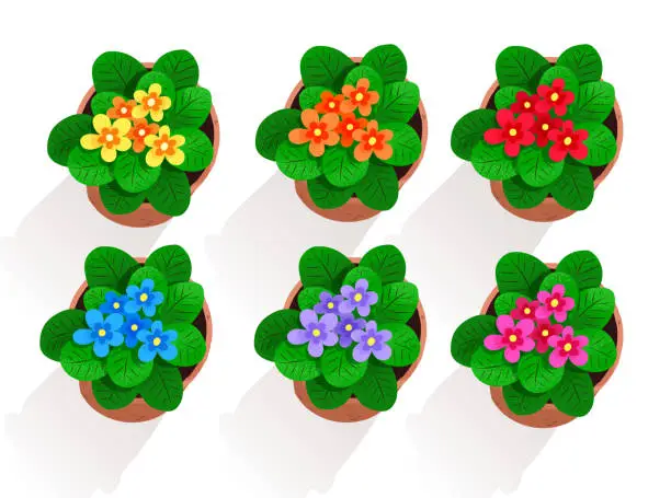 Vector illustration of Vector collection of flowers in pot