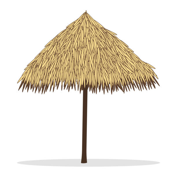 Bamboo beach umbrella isolated on white Wooden sunshade, tiki hut umbrella. Beach umbrella made of reeds. Vector illustration isolated on white straw roof stock illustrations