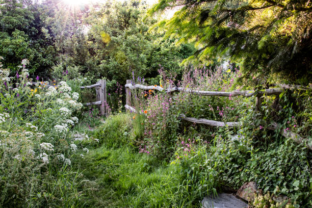 istock Cornish Fence with wild flower 973782886