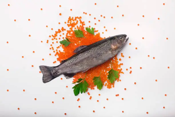 Trout with caviar on a white background