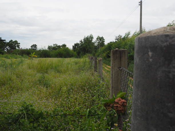 istock fence near my house 973797124
