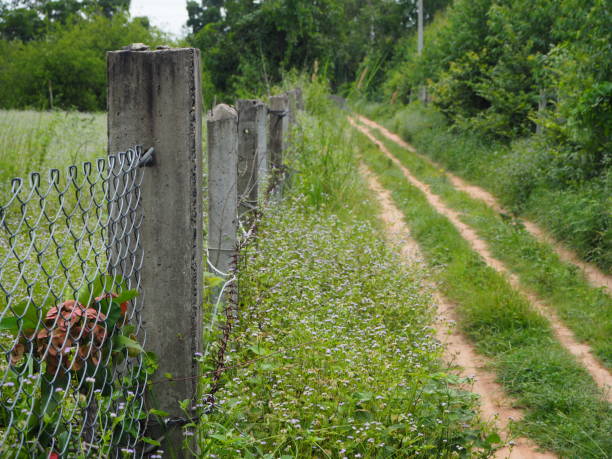 istock fence near my house 973797130
