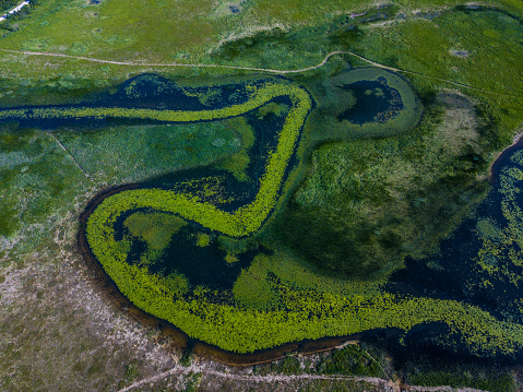 Aerial view of lake in spring