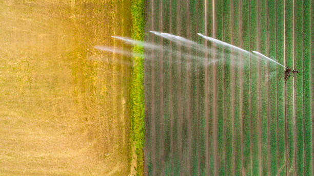 Agricultural sprinkler, wheat field Artificial watering, wheat field - agricultural area, aerial view spraying water stock pictures, royalty-free photos & images