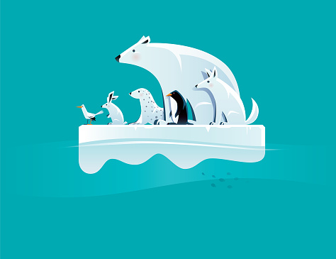 polar bear and friends standing on ice floe