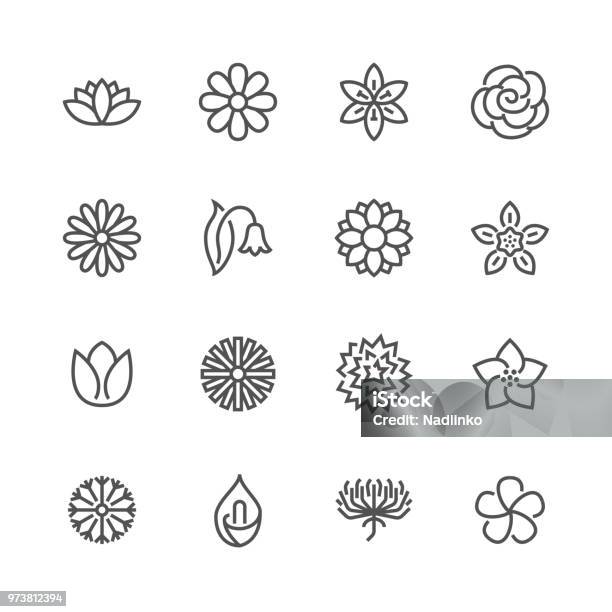 Flowers Flat Line Icons Beautiful Garden Plants Chamomile Sunflower Rose Flower Lotus Carnation Dandelion Violet Blossom Thin Signs For Floral Store Pixel Perfect 48x48 Editable Strokes Stock Illustration - Download Image Now