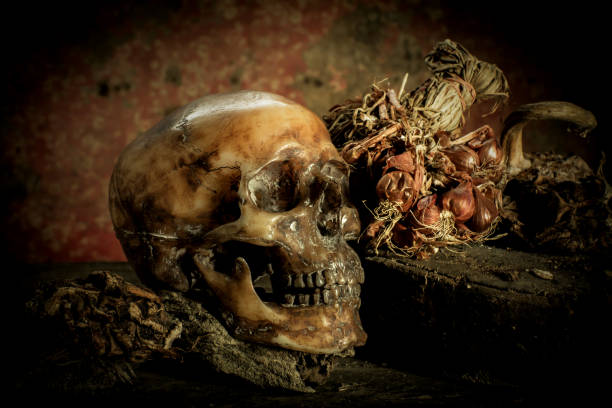 istock Human skull on old wood background, still life concept 973812504