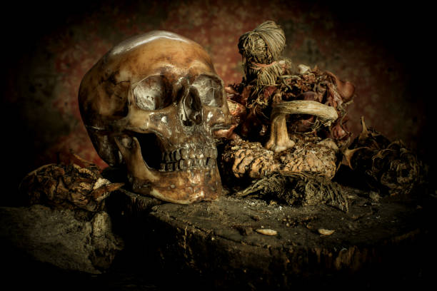 istock Human skull on old wood background, still life concept 973812582