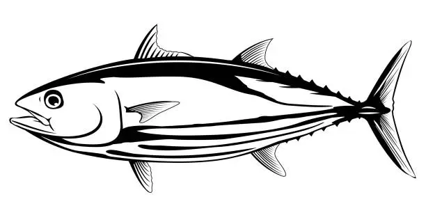 Vector illustration of Skipjack Tuna Black and White Fish