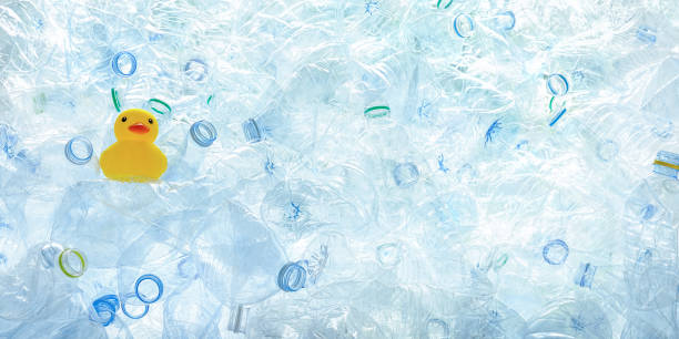 istock Yellow rubber duck sits among many used compressed plastic purified drinking water bottles stacked up ready for recycling. 973834640