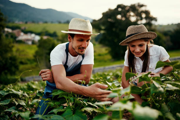 istock Passing down his wealth of farming knowledge 973851704