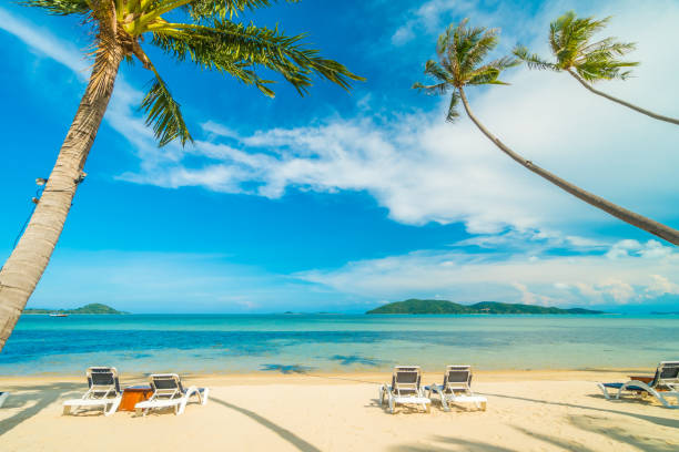 istock Scenic View Of Beach Against Sky 973857570