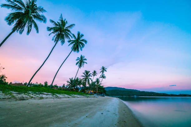 istock Palm Trees On Beach Against Sky During Sunset 973857898