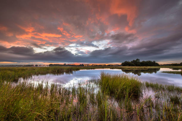 istock Dramatic sunset over marshland in natural landscape 973857916