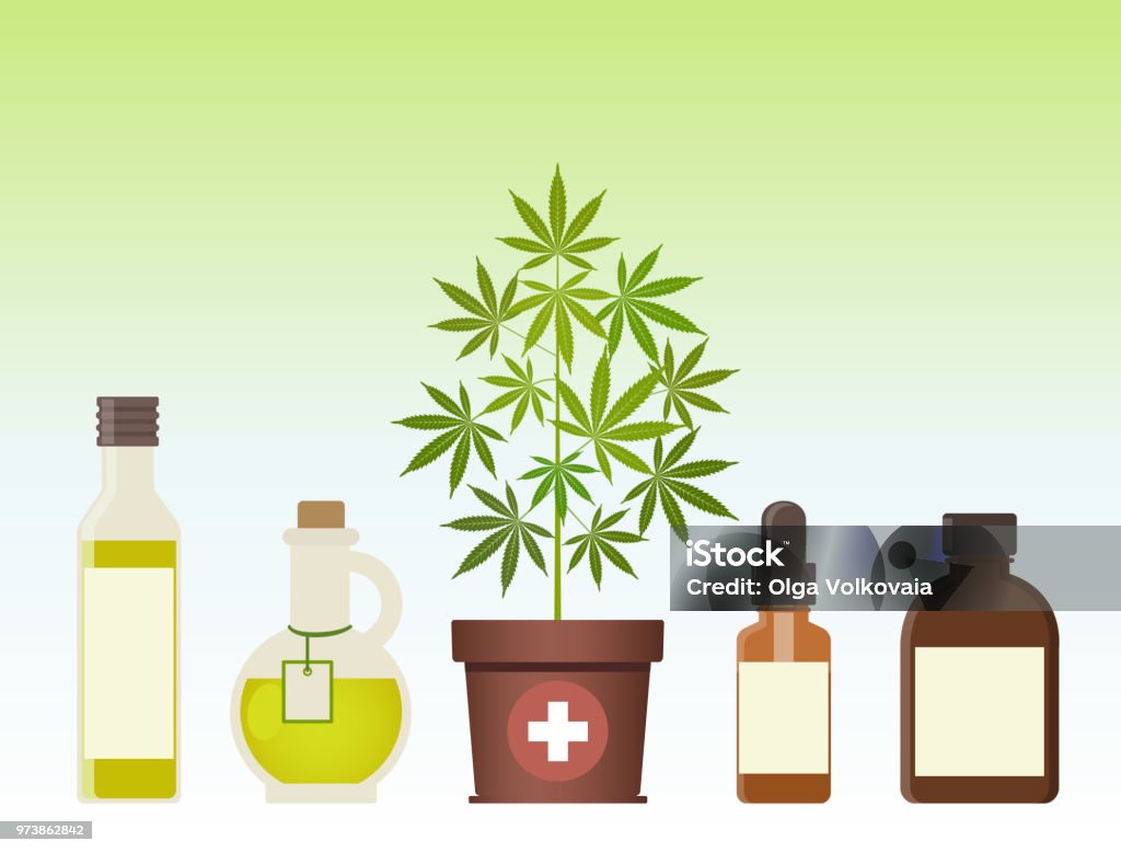 Marijuana plant and cannabis oil. Medical marijuana. Marijuana plant and cannabis oil. Medical marijuana. Hemp oil in a glass jar. CBD oil hemp products. Oil glass bottle mock up. Isolated vector illustration. Essential Oil stock vector