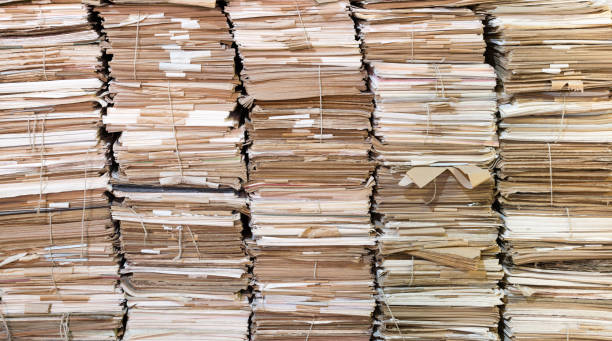 istock Piles of old papers 973867046