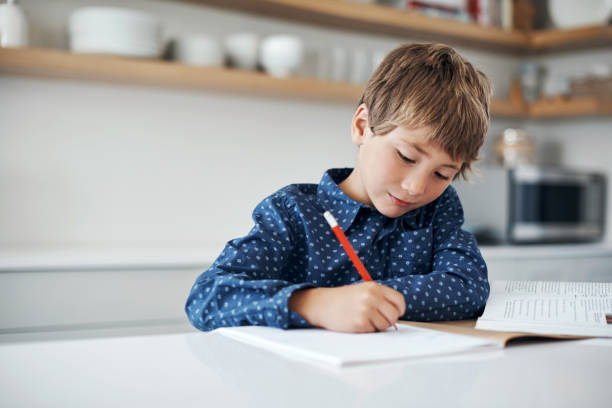 homework time images You don’t need to ask him twice to do homework Shot of a little boy doing his homework at home homework table stock pictures, royalty-free photos & images