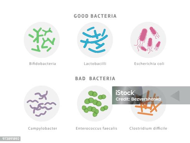 Good And Bad Bacterial Flora Icon Set Isolated On White Background Gut Dysbiosis Concept Medical Illustration With Microorganisms Stock Illustration - Download Image Now
