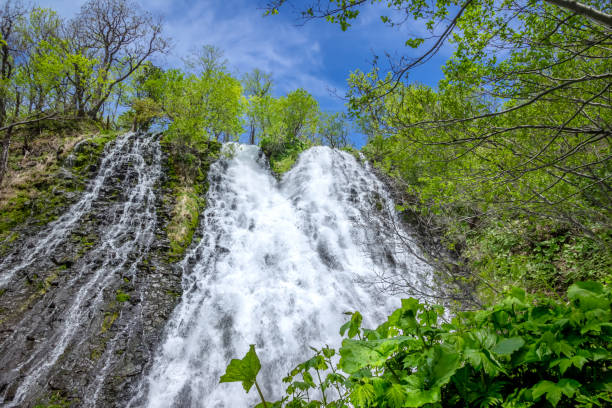 OshinKoshin Waterfall(Oshin　Koshin  Falls) in Shiretoko Oshinkoshin Waterfall. Also known as Twin Beauties Waterfall, because the waterfall splits into two parts about halfway down. shiretoko mountains stock pictures, royalty-free photos & images