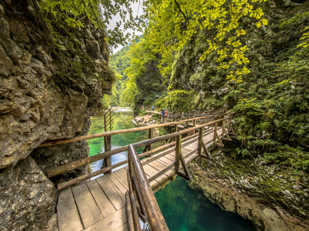 istock Soteska vintgar gorge bridge boardwalk on sunny day 973901438