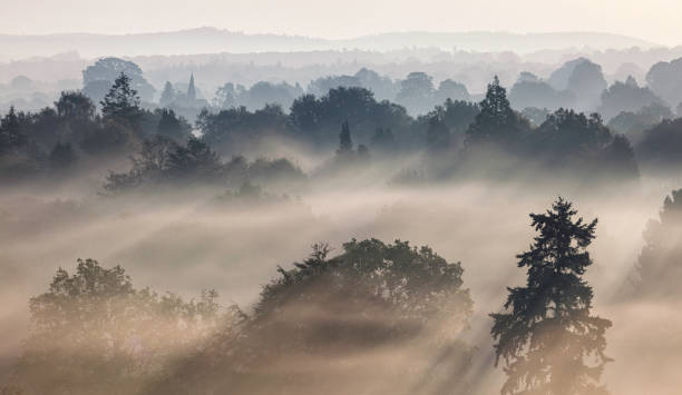 istock Surrey Hills Sunrise 973905492