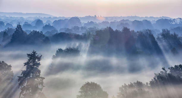 Surrey Hills Sunrise Dawn in the Surrey Hills in the UK surrey england stock pictures, royalty-free photos & images