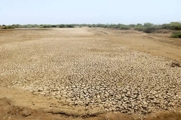 Dry land caused by extreme dry and hot weather