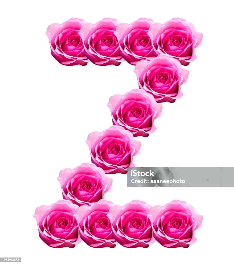 Chữ Hoa Hồng Được Cô Lập Trên Nền Trắng Hình ảnh Sẵn có - Tải ...
