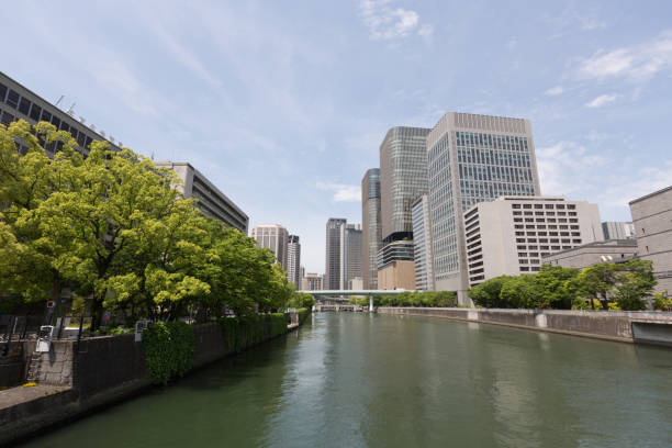 istock Osaka Cityscape in Japan 973913390