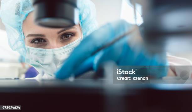 Medico O Tecnico Di Laboratorio Che Regola Lago Per Fecondare Un Uovo Umano - Fotografie stock e altre immagini di Laboratorio