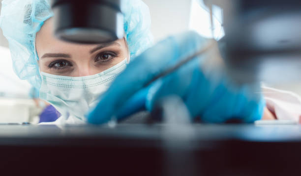 médico ou laboratório técnico ajuste agulha para fecundar um óvulo humano - scientist women research scientific experiment - fotografias e filmes do acervo