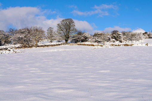 Snow covered rural field