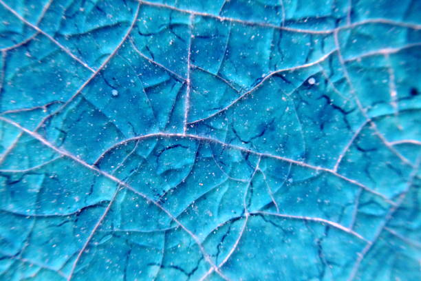 istock Macro of blurry cyan blue cracked ceramik tile surface. 973936230