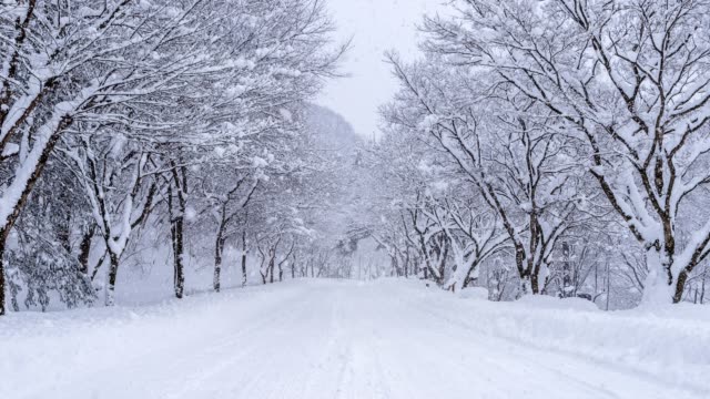 snowfall on winter road.