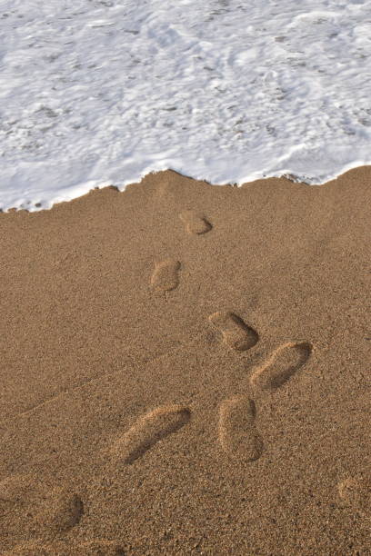istock Foothprint on the sands of beach 973946612