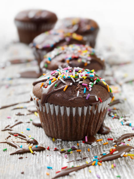 istock Chocolate Cupcakes with Fudge Icing and Sprinkles 973954920