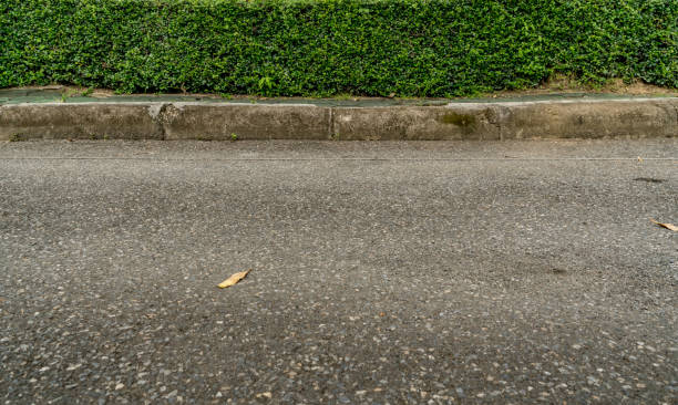 istock Green hedge fence 973956584