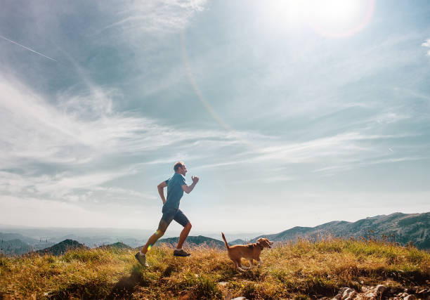 man runs with his beagle dog on mountain top - running jogging mountain footpath imagens e fotografias de stock