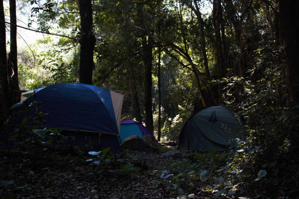 istock Tent Camp In Dense Rainforest 973983866