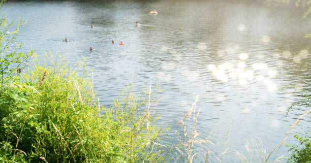 bathing people in a wild lake