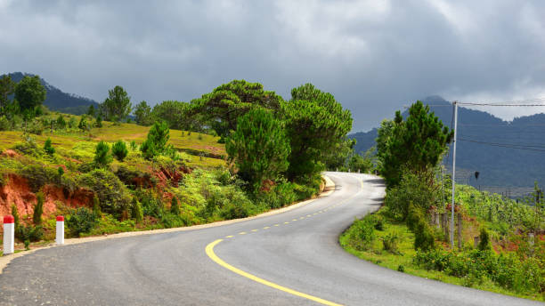 istock Asphalt road with natural tree in Lang Biang National Park 974008132